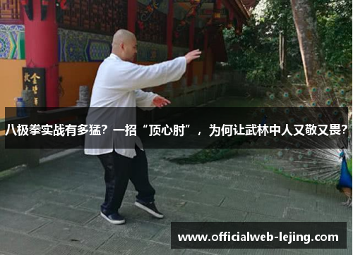 八极拳实战有多猛？一招“顶心肘”，为何让武林中人又敬又畏？